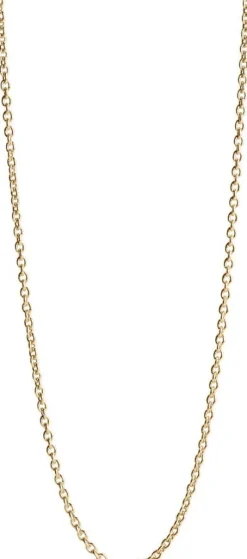 Anchor Chain, gold plated sterling silver - 50 CM
