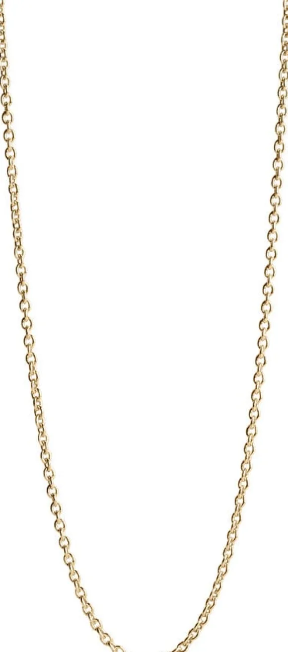 Anchor Chain, gold plated sterling silver - 50 CM