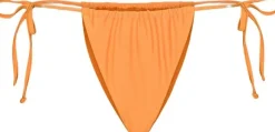 Butterfly Bikini Tanga