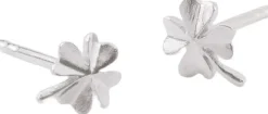 Clover