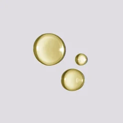 essence absolue nourishing soothing scalp oil concentrate