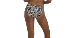 FIJI FALLS BIKINI BRIEF