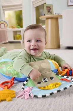 Fisher-Price Balanced Beg
