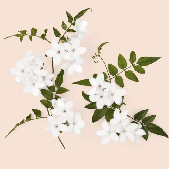 Gucci Bloom Intense
