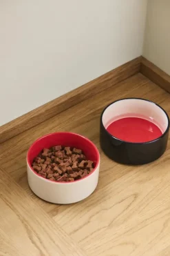 HAY Dogs Bowl-Small-Red, blue