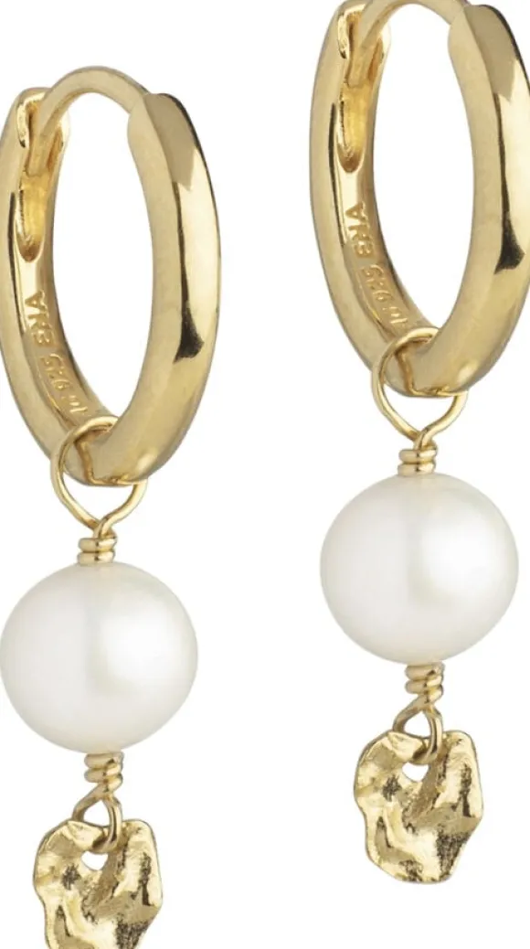 Hoops, Cara