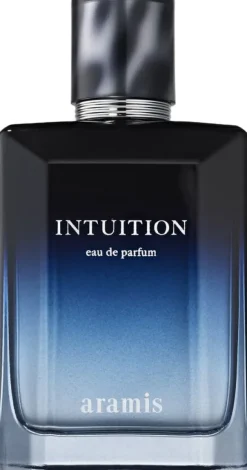 Intuition