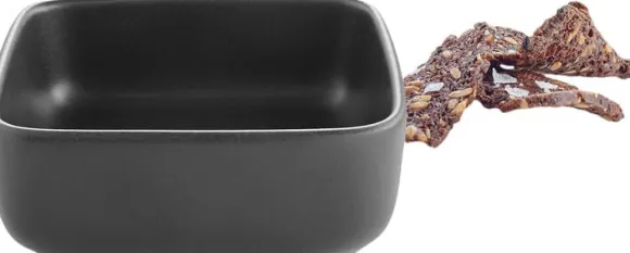 Kvardratisk skål