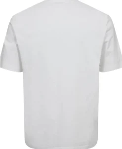 MENS REG FIT T SHIRT LOLLIES
