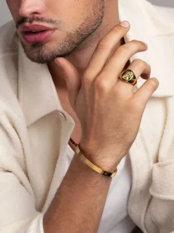 Men's Stainless Steel Lion Crest Ring with Gold Plating