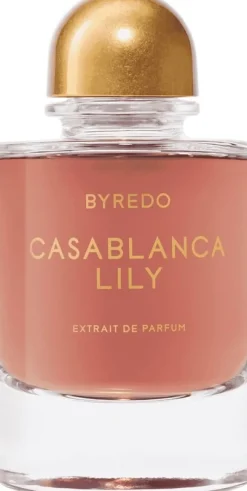 Night Veils Casablanca Lily