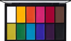 Painstick X 12 Palette