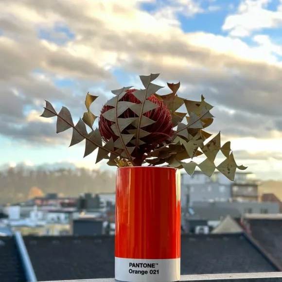 Pantone PENCIL CUP Orange 021