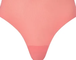 Pulpies Brief