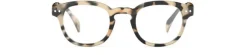 READING #C Light Tortoise +2. 00