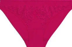 ROMANCE Brief