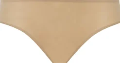 SoftStretch Brief