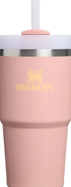 Stanley The Quencher H2. O FlowState Tumbler 0. 6L