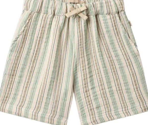 Sæt med Skjorte og Shorts