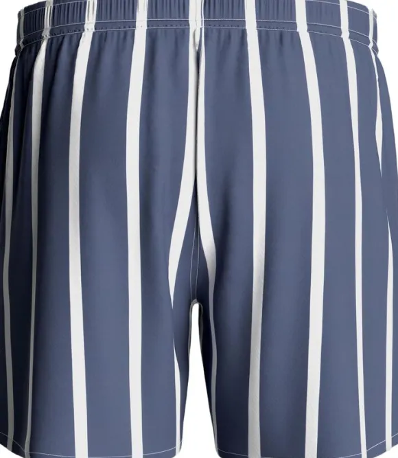 Striped Swim Shorts