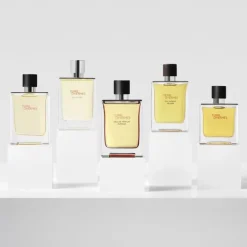 Terre D'hermès Eau de Parfum Intense Natural Spray